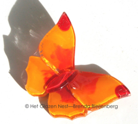 Glazen vlinder in speels oranje kleuren