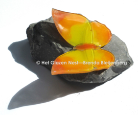 Oranje en gele vlinder op basalt