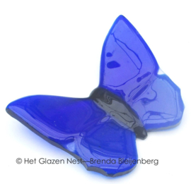 Blauwe vlinder in doorzichtig glas