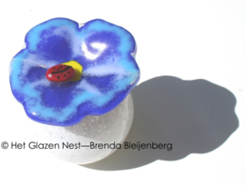 Glazen bol-urn met lieveheersbeestje op bloem