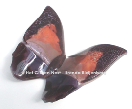 Grote vlinder in lila en oud roze