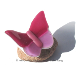 Kleine roze glasvlinder op steentje