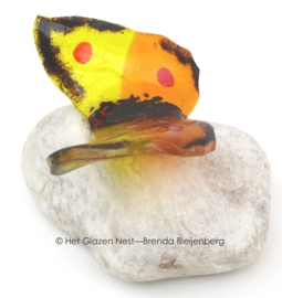 Speels vlindertje in geel en oranje