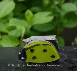 3 kleine lieveheersbeestjes op steentje