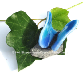 Kleine vlinder in aqua blauw glas