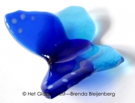 kleine vlinder in kobalt en aqua blauw