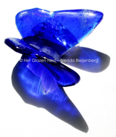 Kobalt blauwe vlinder met witte stipjes