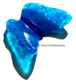 Bijzondere aqua blauwe vlinder