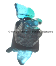 Aqua en blauwgroene vlinder op steen