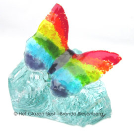 Regenboog vlinder op glasbrok