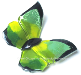 Speelse groene glazen vlinder