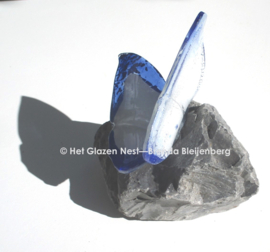 Wit en blauwe vlinder op grijs basalt