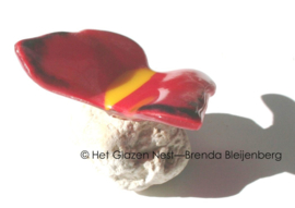 Rode glazen vlinder met geel lijfje