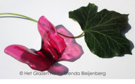 roze vlinder