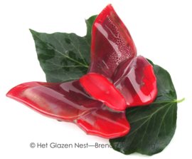 Rood en paars in een vlinder