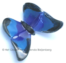 Blauwe vlinder en donkere randen