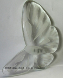 vlinder in blank doorzichtig glas