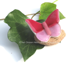 Kleine roze glasvlinder op steentje