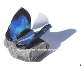 Blauwe vlinder met zwarte randen