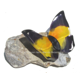 vlinder in geel en grijs