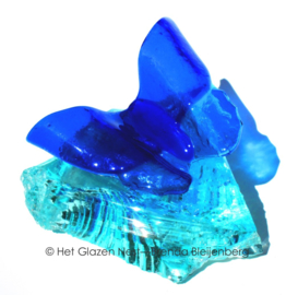 blauwe vlinder op glasbrok
