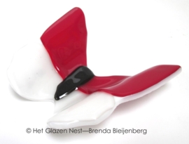 Rood en witte vlinder