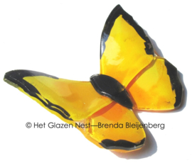 Gele vlinder met zwarte randen