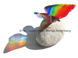 Regenboog vlinder in transparant glas