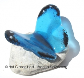 vlinder in aqua en zee blauw met zwarte rand