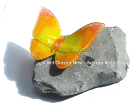 Oranje en gele vlinder op basalt