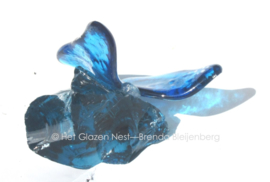 Aqua blauwe vlinder op ruw blauw glas