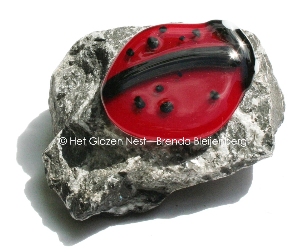 Lieveheersbeestje als mini urn