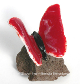 Rode glas vlinder op lavas steen