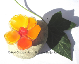 Oranje viooltje in glaskunst