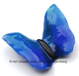 Blauwe vlinder met zeegroene accenten