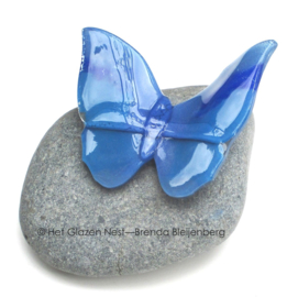 Blauwe glas vlinder op Iceland stone