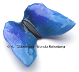 Blauwe vlinder met zeegroene accenten