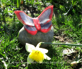 Vlinder in rood en paars op ronde kei