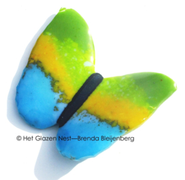Vlinder in bijzondere kleuren