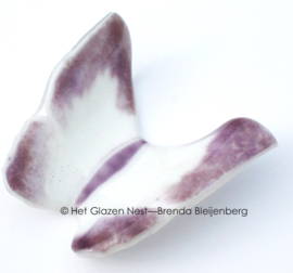 Witte vlinder met paarse randen