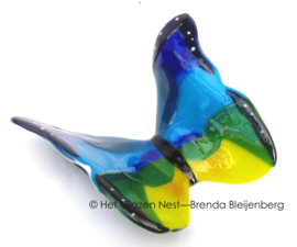 Grote glas vlinder in blauw, geel en groen