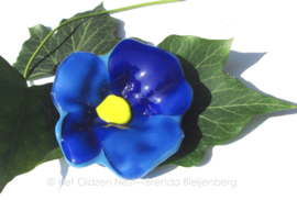 blauw bloemetje met geel hart