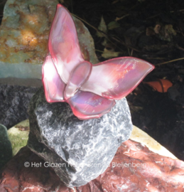 vlinder in Lila en oud roze op basalt