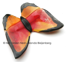 Oranje glas vlinder met zwarte randen