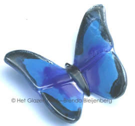 Blauwe vlinder en donkere randen