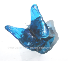 Aqua blauwe vlinder op ruw blauw glas