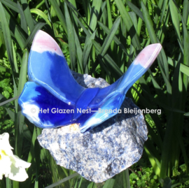 Roze en blauwe vlinder op blauwe steen