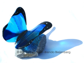 Speelse blauwe vlinder met donkere randen