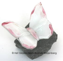 Kleine witte vlinder met roze randen