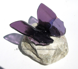paarse vlinder op roze steen